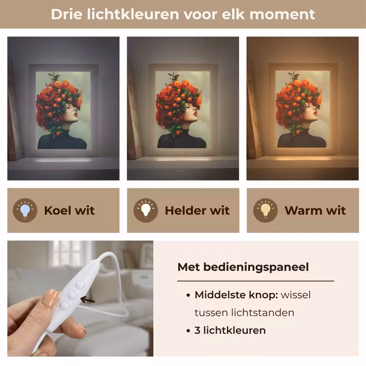 Vrouw - Appels - Rood - Bladeren Light Box met kabel (Tafellamp) klein -USP_lichtkleurNL