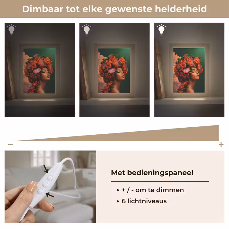 Vrouw - Drankenfruit - Rozen Light Box met kabel (Tafellamp) klein -USP_dimbaarNL