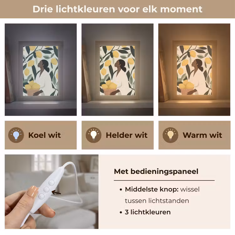 Vrouw - Mand - Citroenen - Bladeren Light Box met kabel (Tafellamp) klein -USP_lichtkleurNL