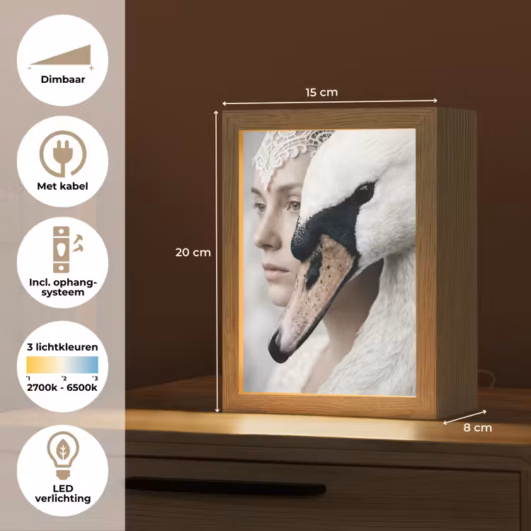 Vrouw - Zwaan - Wit Light Box met kabel (Tafellamp) klein -USP_NL