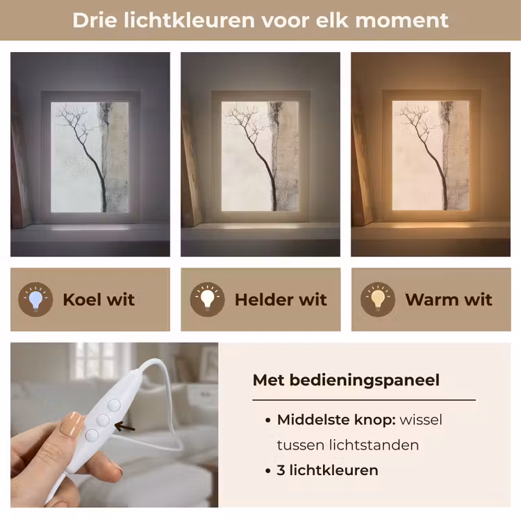 Wabi sabi - Plant - Beige Light Box met kabel (Tafellamp) klein -USP_lichtkleurNL