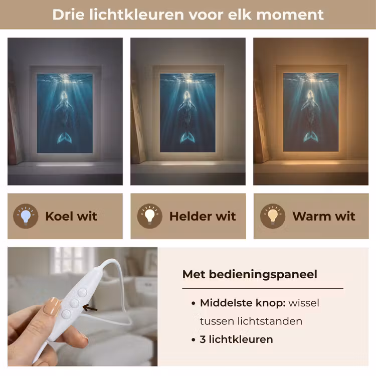 Walvis - Water - Zonnestralen - Blauw Light Box met kabel (Tafellamp) klein -USP_lichtkleurNL