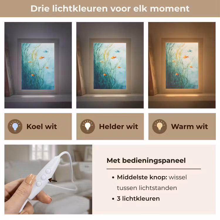 Waterplanten - Vissen - Kleurrijk - Water Light Box met kabel (Tafellamp) klein -USP_lichtkleurNL