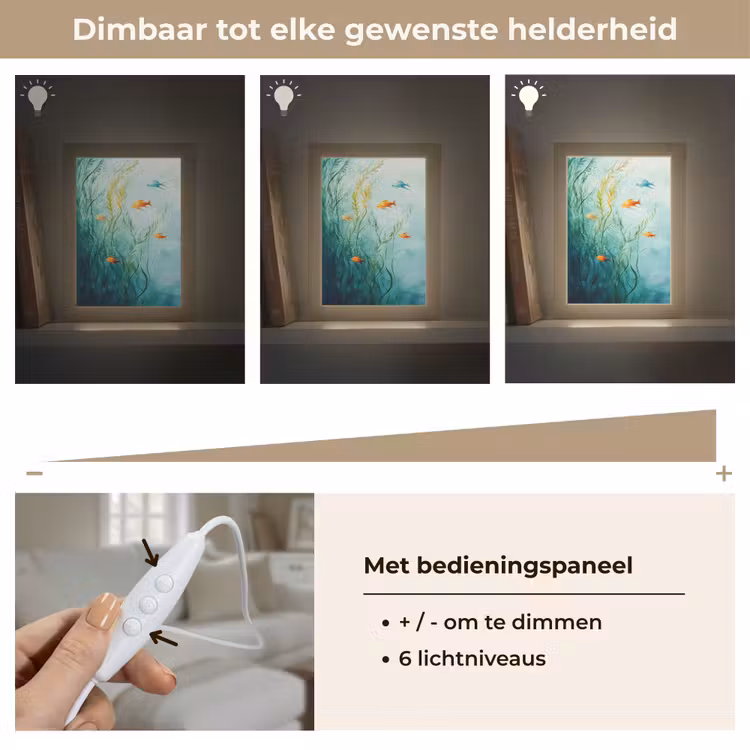 Waterplanten - Vissen - Kleurrijk - Water Light Box met kabel (Tafellamp) klein -USP_dimbaarNL