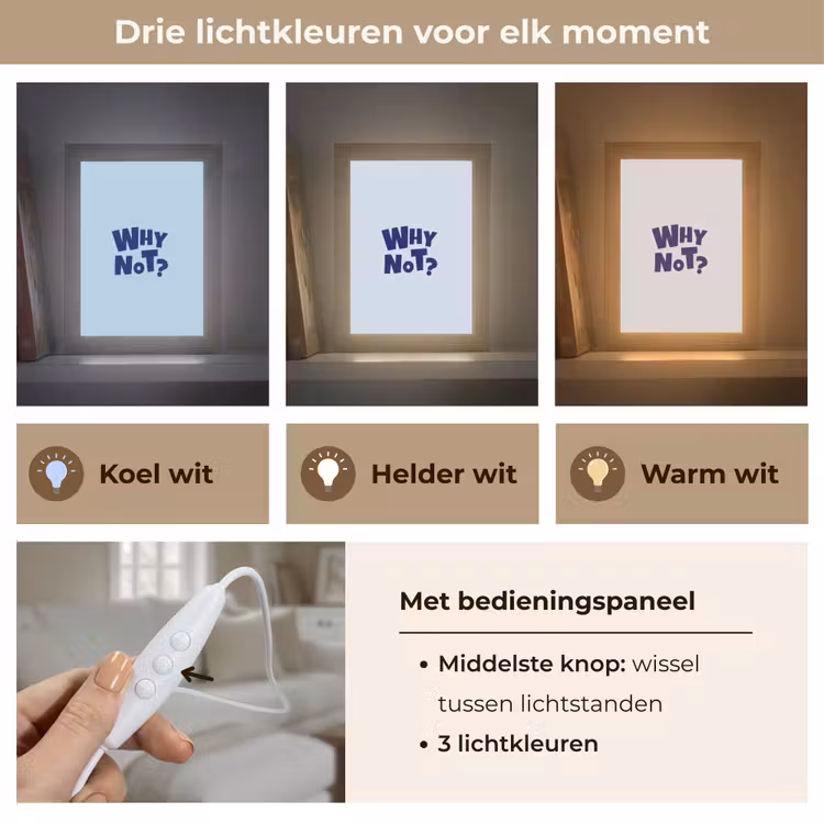 Why not - Blauw - Licht blauw - Quote Light Box met kabel (Tafellamp) klein -USP_lichtkleurNL