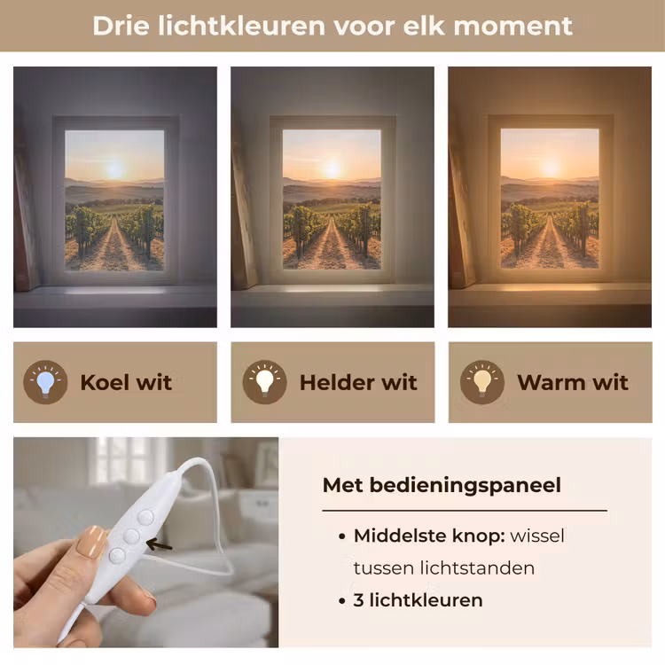 Wijngaard - Zonsondergang - Landschap Light Box met kabel (Tafellamp) klein -USP_lichtkleurNL