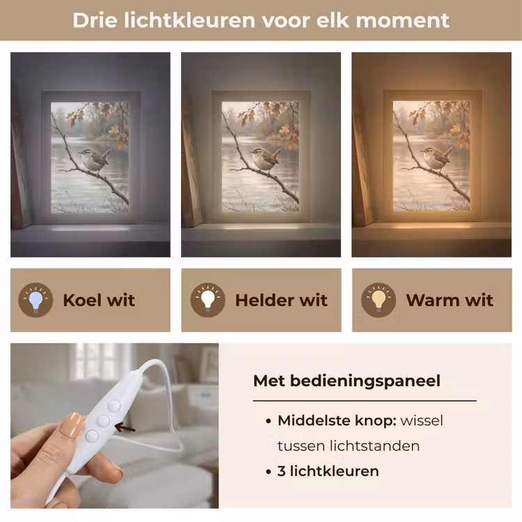 Winterkoninkje - Tak - Rivier - Natuur - Sfeervol Light Box met kabel (Tafellamp) klein -USP_lichtkleurNL