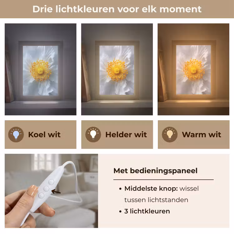 Wit - Bloem - Elegant Light Box met kabel (Tafellamp) klein -USP_lichtkleurNL