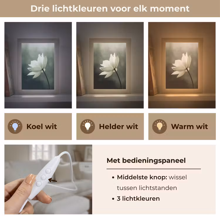 Wit - Lotus - Donker - Bloem Light Box met kabel (Tafellamp) klein -USP_lichtkleurNL