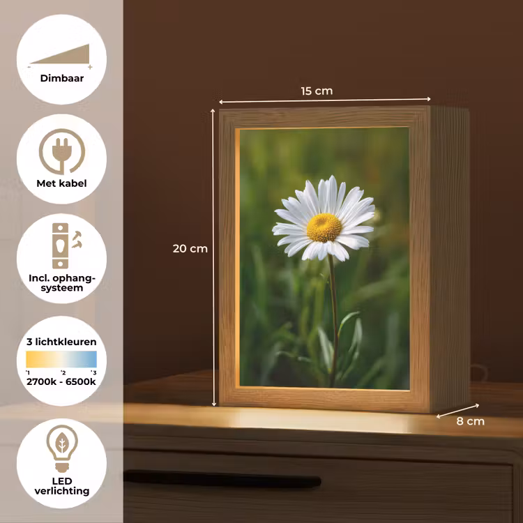 Wit - Madeliefje - Bloem - Gras Light Box met kabel (Tafellamp) klein -USP_NL