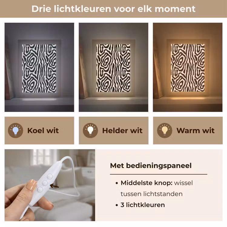 Zebra - Abstract - Zwart Light Box met kabel (Tafellamp) klein 925 -USP_lichtkleurNL