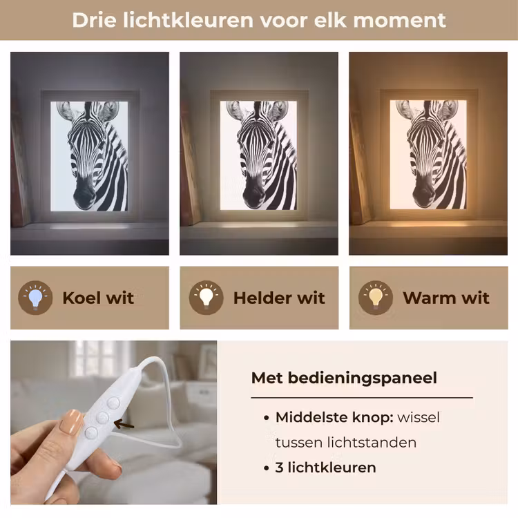 Zebra - Close-up - Zwart - Strepen Light Box met kabel (Tafellamp) klein -USP_lichtkleurNL