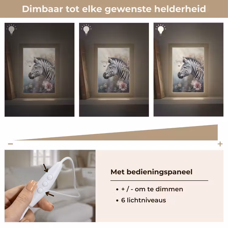 Zebra - Wilde dieren - Vlinder - Bloemen Light Box met kabel (Tafellamp) klein -USP_dimbaarNL