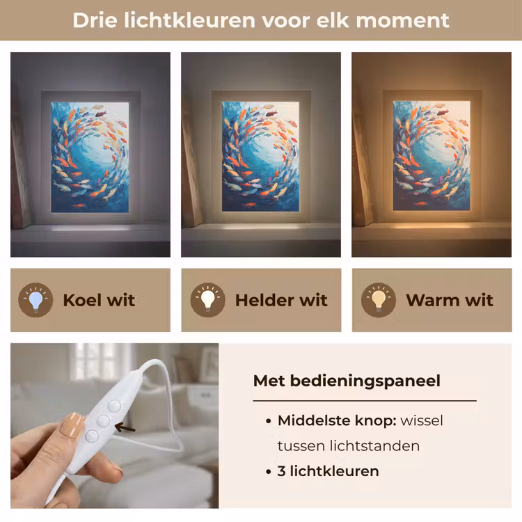 Zee - Vissen - Kleurrijk - Dynamisch Light Box met kabel (Tafellamp) klein -USP_lichtkleurNL