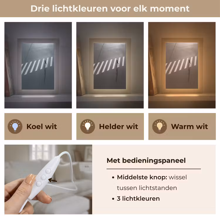 Zeebrapad - Hardloper - Zwart - Wit Light Box met kabel (Tafellamp) klein -USP_lichtkleurNL