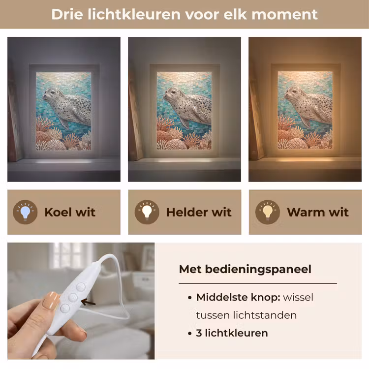 Zeehond - Mozaïek - Onderwater - Dieren - Blauw Light Box met kabel (Tafellamp) klein -USP_lichtkleurNL