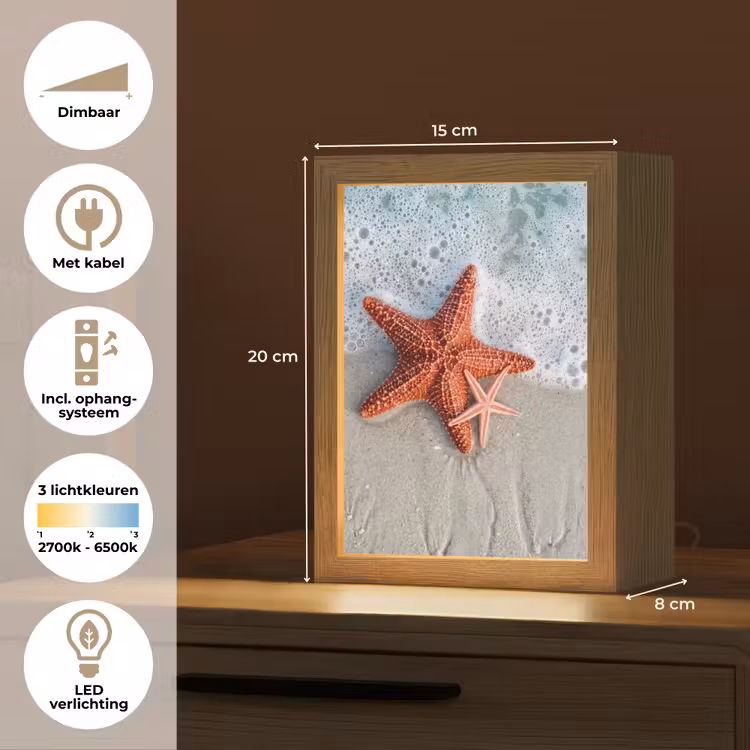 Zeester - Strand - Zee Light Box met kabel (Tafellamp) klein -USP_NL