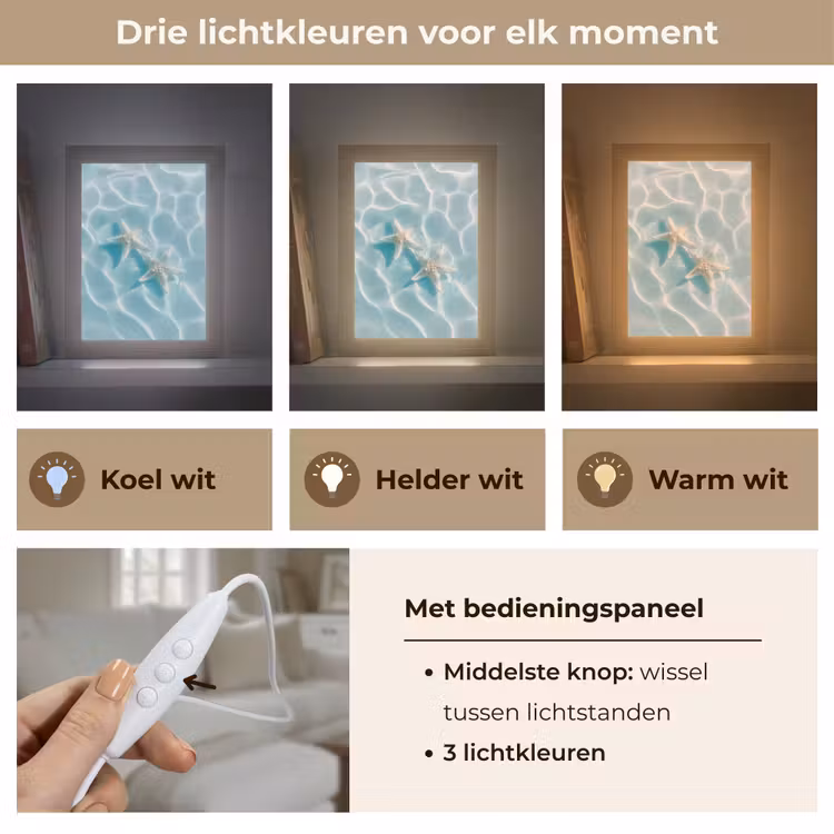 Zeesterren - Golvend water - Rustgevend Light Box met kabel (Tafellamp) klein -USP_lichtkleurNL