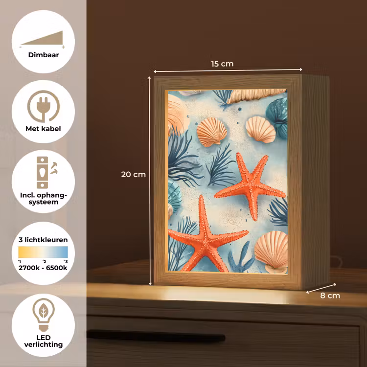 Zeesterren - Schelpen - Illustratie - Zand Light Box met kabel (Tafellamp) klein -USP_NL