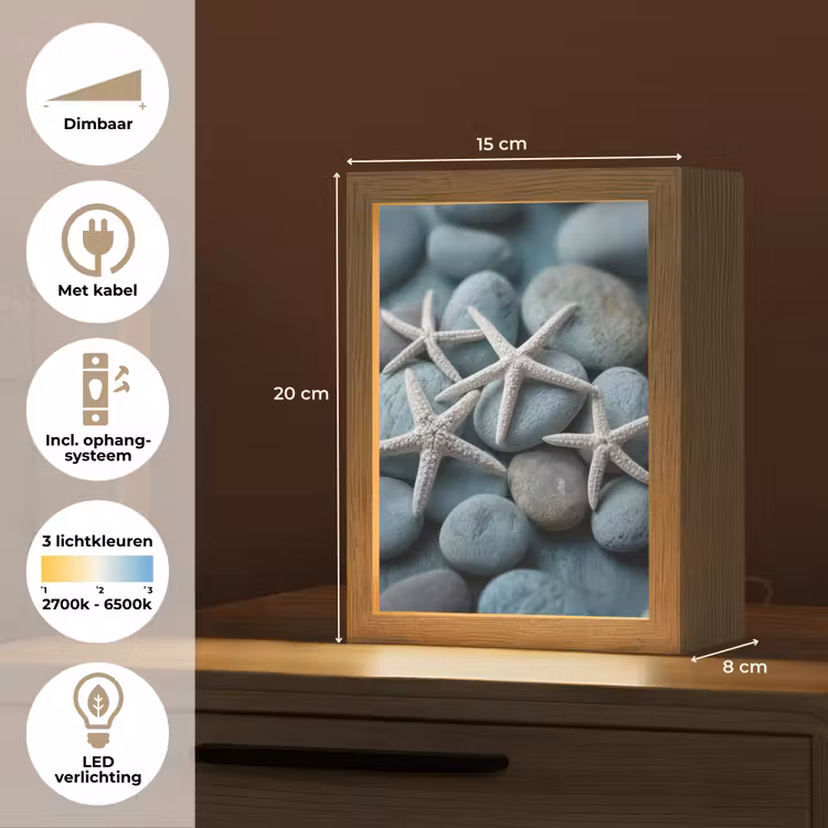 Zeesterren - Stenen - Wit Light Box met kabel (Tafellamp) klein -USP_NL