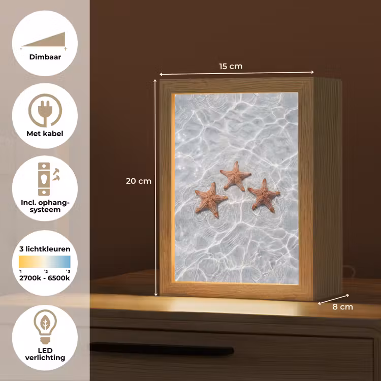 Zeesterren - Water - Helder Light Box met kabel (Tafellamp) klein -USP_NL
