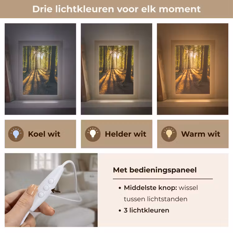 Zon - Bomen - Bos - Landschap - Natuur Light Box met kabel (Tafellamp) klein -USP_lichtkleurNL