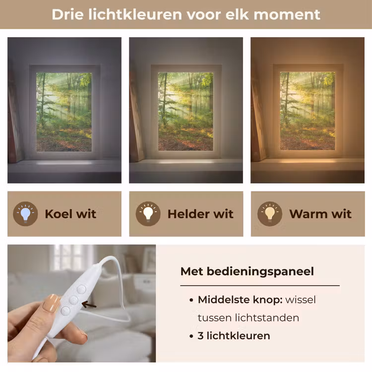 Zon - Bos - Bomen - Natuur - Herfst Light Box met kabel (Tafellamp) klein -USP_lichtkleurNL