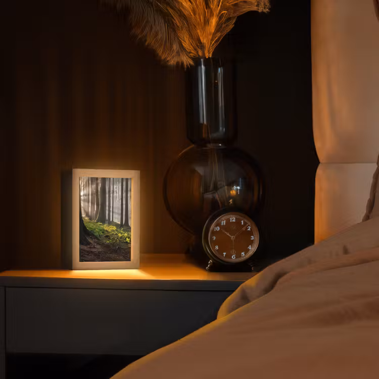 Zon - Takken - Bomen - Bos - Natuur Light Box met kabel (Tafellamp) klein -sfeer1