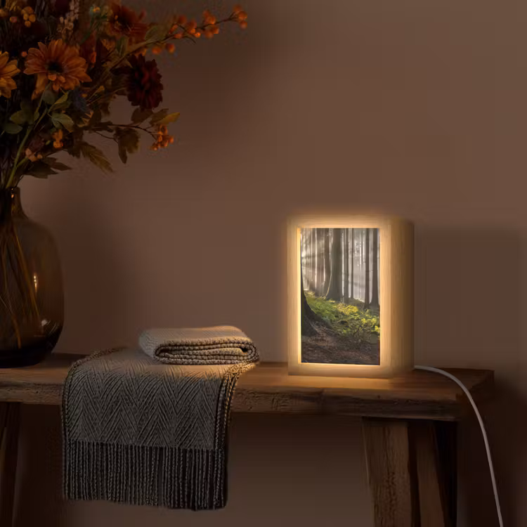Zon - Takken - Bomen - Bos - Natuur Light Box met kabel (Tafellamp) klein -sfeer4