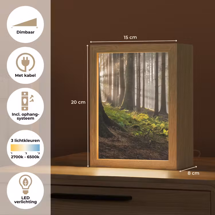 Zon - Takken - Bomen - Bos - Natuur Light Box met kabel (Tafellamp) klein -USP_NL
