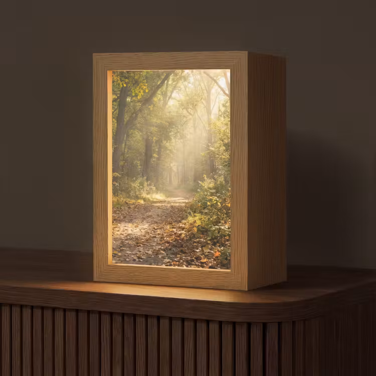 Zonlicht - Bospad - Bomen Light Box met kabel (Tafellamp) klein -z3d_website