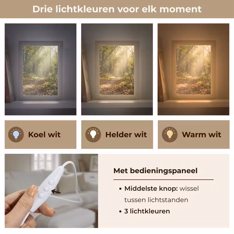 Zonlicht - Bospad - Bomen Light Box met kabel (Tafellamp) klein -USP_lichtkleurNL
