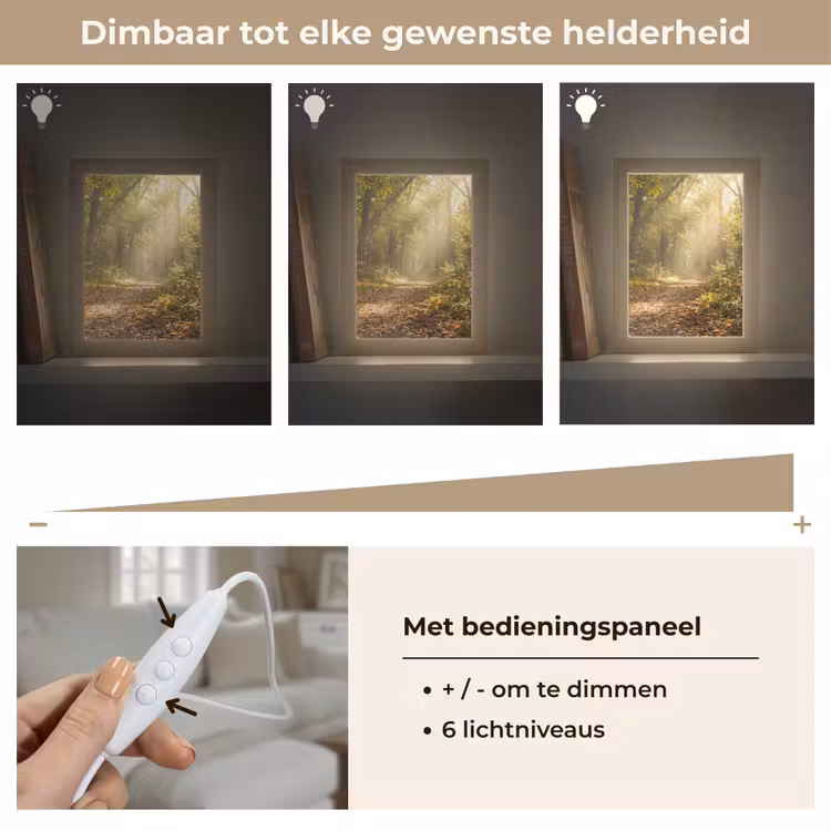 Zonlicht - Bospad - Bomen Light Box met kabel (Tafellamp) klein -USP_dimbaarNL