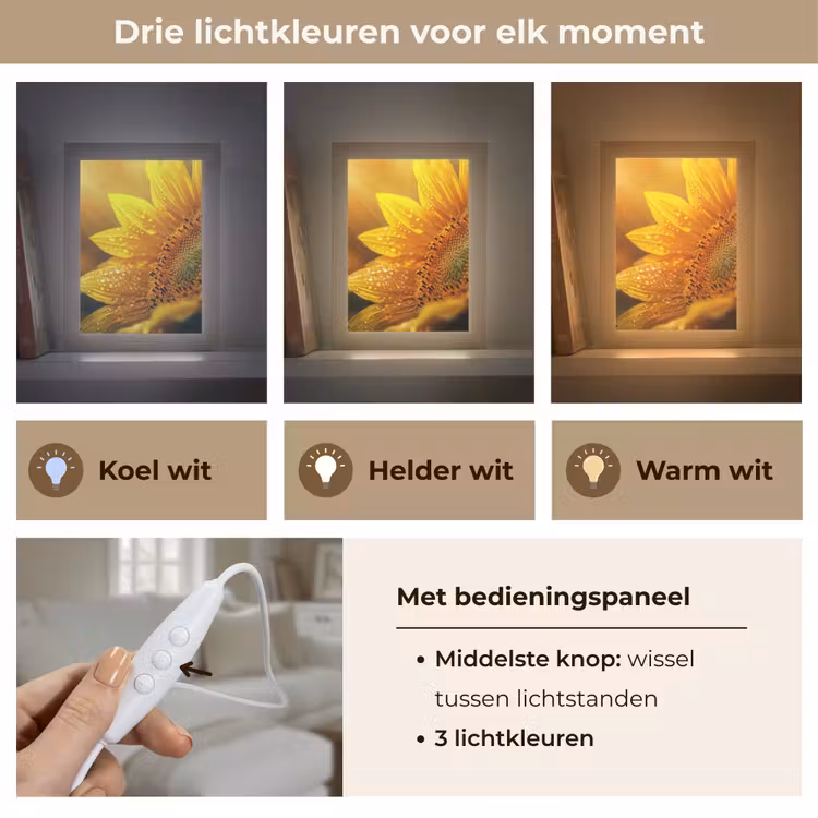 Zonnebloem - Dauwdruppels - Geel - Zonlicht Light Box met kabel (Tafellamp) klein -USP_lichtkleurNL