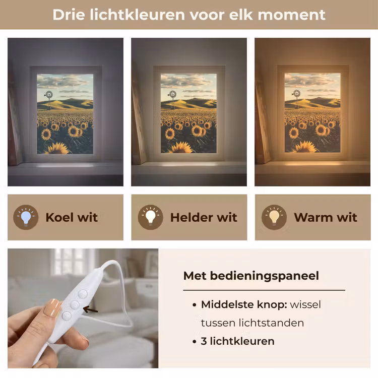 Zonnebloem - Veld - Windmolen Light Box met kabel (Tafellamp) klein -USP_lichtkleurNL