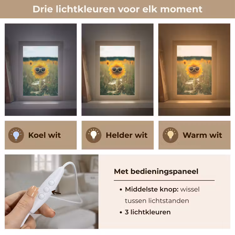 Zonnebloem - Veld - Zonnebril Light Box met kabel (Tafellamp) klein -USP_lichtkleurNL