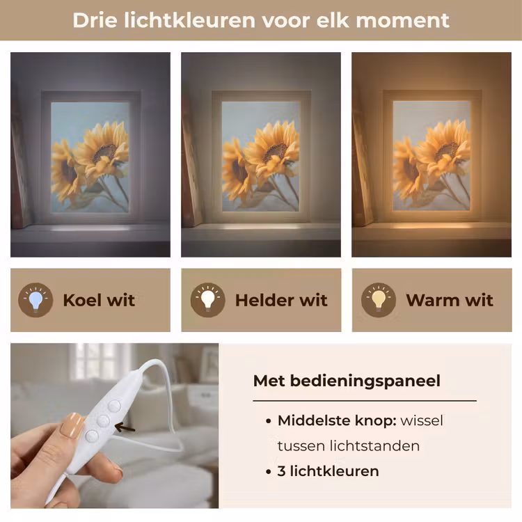 Zonnebloemen - Geel - Wazig Light Box met kabel (Tafellamp) klein -USP_lichtkleurNL