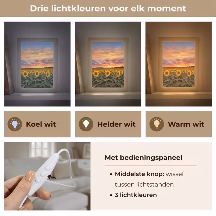 Zonnebloemen - Heuvellandschap - Geel Light Box met kabel (Tafellamp) klein -USP_lichtkleurNL