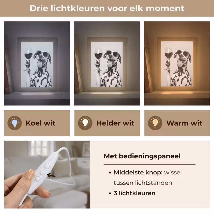 Zonnebril - Dalmatiër - Wijnglas - Tong Light Box met kabel (Tafellamp) klein -USP_lichtkleurNL