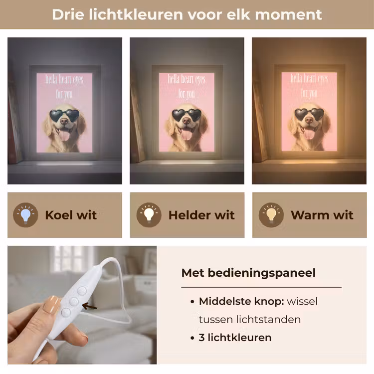 Zonnebril - Hartjes - Hond - Valentijn Light Box met kabel (Tafellamp) klein -USP_lichtkleurNL
