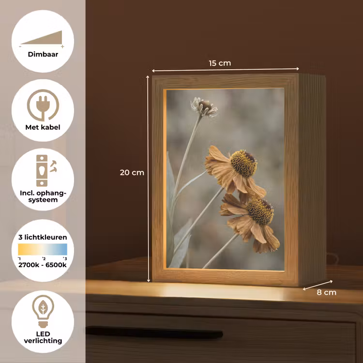 Zonnehoed - Droogbloemen - Geel - Warm Light Box met kabel (Tafellamp) klein -USP_NL