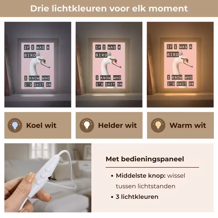 Zwaan - Vogel - Decoratie - Roze Light Box met kabel (Tafellamp) klein -USP_lichtkleurNL