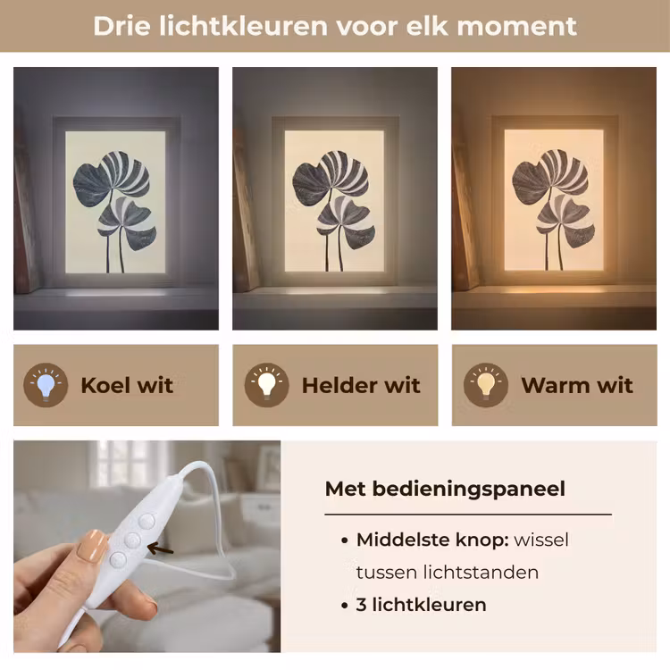 Zwart - Bladeren - Strepen - Minimalistisch Light Box met kabel (Tafellamp) klein -USP_lichtkleurNL