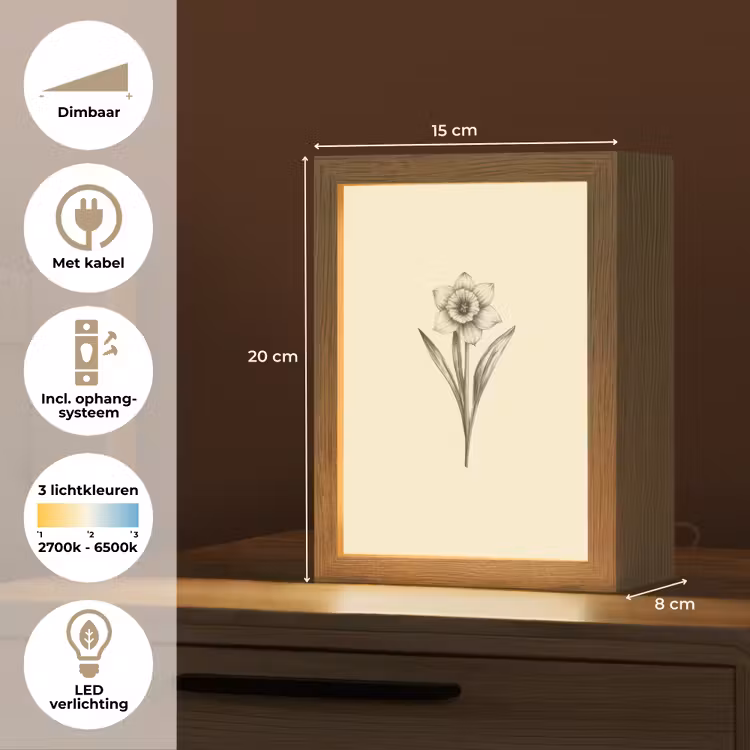 Zwart - Narcis - Illustratie Light Box met kabel (Tafellamp) klein -USP_NL