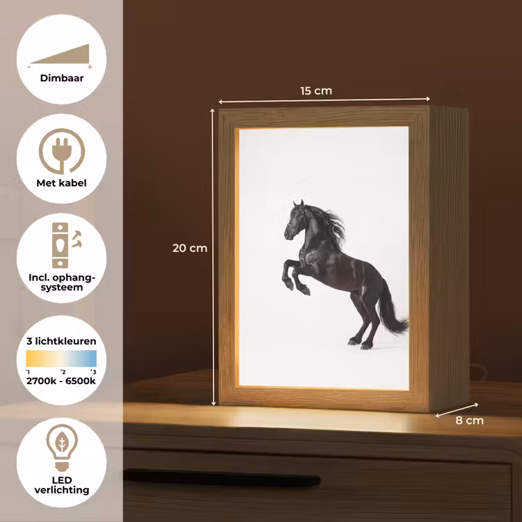 Zwart - Paard - Portret Light Box met kabel (Tafellamp) klein -USP_NL