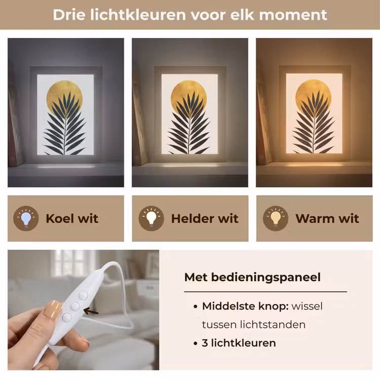 Zwart palmblad - Gouden cirkel - Beige achtergrond Light Box met kabel (Tafellamp) klein -USP_lichtkleurNL