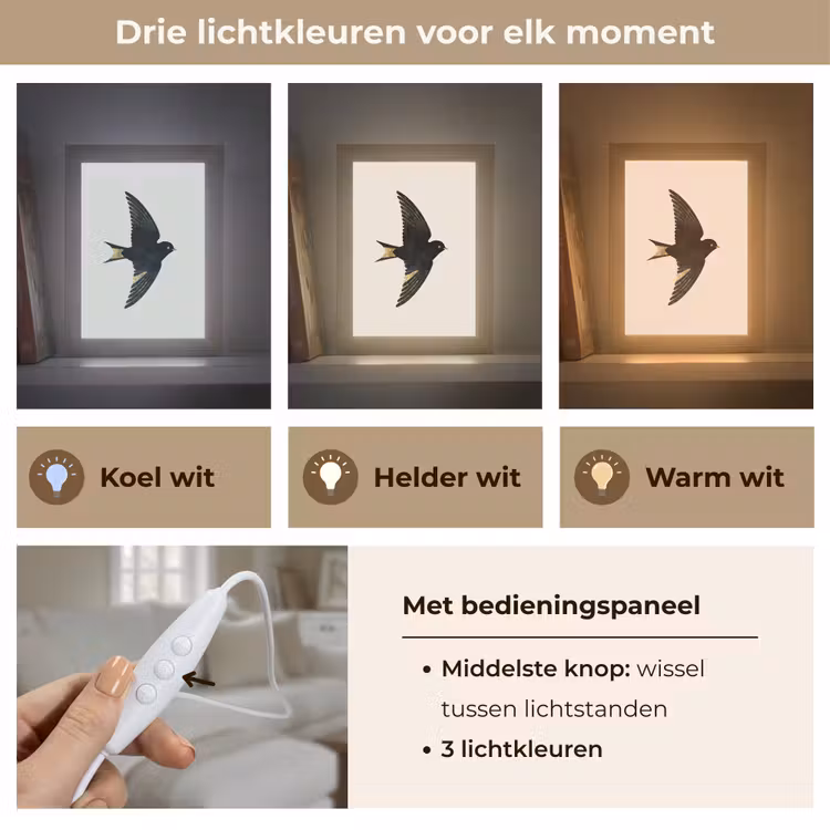 Zwarte zwaluw - Gouden accenten - Lichte achtergrond Light Box met kabel (Tafellamp) klein -USP_lichtkleurNL
