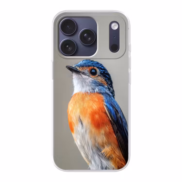 Kleurrijk - Vogeltje - Veren - Blauw Telefoonhoesje iPhone 17 Pro klein -3d