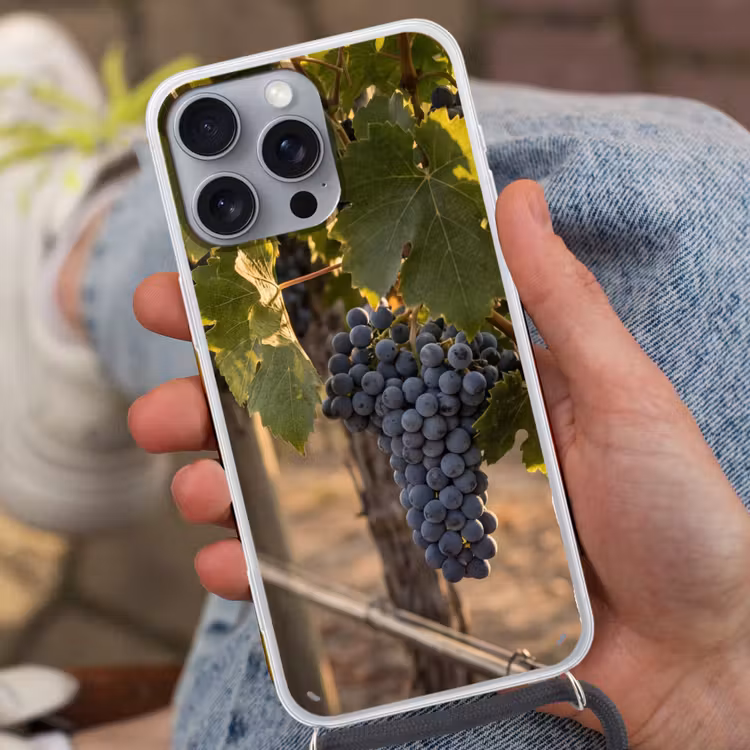 Druiven - Wijngaard - Zonlicht Hoesje iPhone 16 Pro Max met koord klein -sfeer3