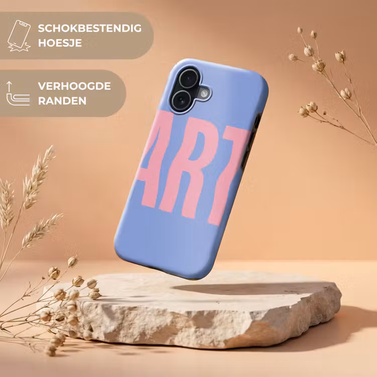 Art - Roze - Blauw Toughcase MagSafe Apple iPhone 17 klein -USP_RandenV_NL